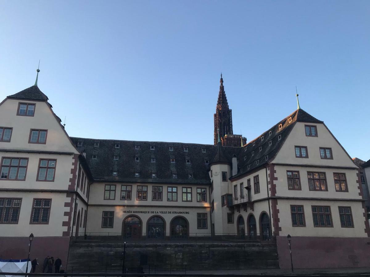 L'ill Au Sable Appartement Strasbourg